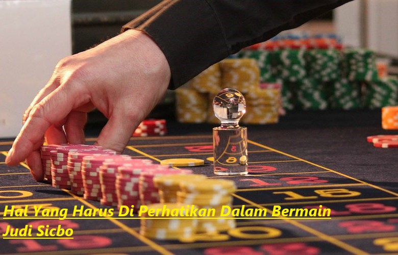 Hal Yang Harus Di Perhatikan Dalam Bermain Judi Sicbo